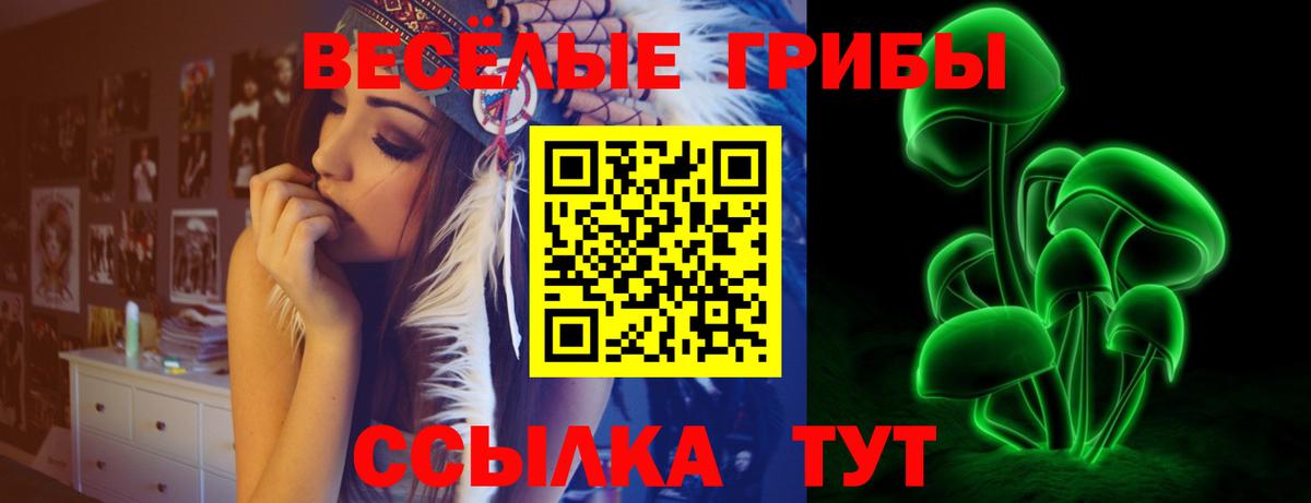 Гусь-Хрустальный  Псилоцибиновые грибы мухоморы  Вход с VPN 